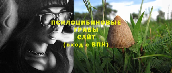 а пвп мука Осинники