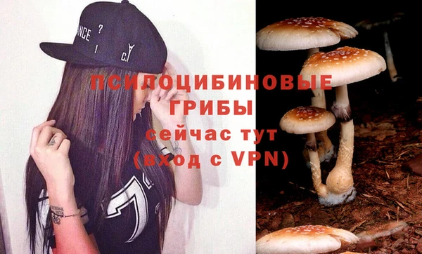 а пвп мука Осинники