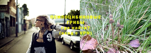 эйфоретик Пересвет