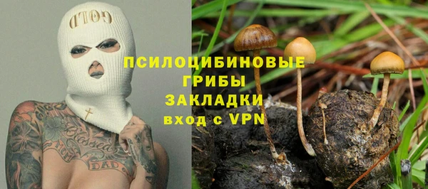 а пвп мука Осинники