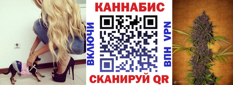 где можно купить   Артёмовский  Каннабис Bruce Banner 
